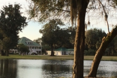 House View from Pond
