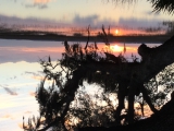 High Tide Feb 2016