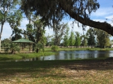 Pond